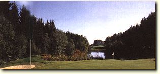 Waldspaziergang